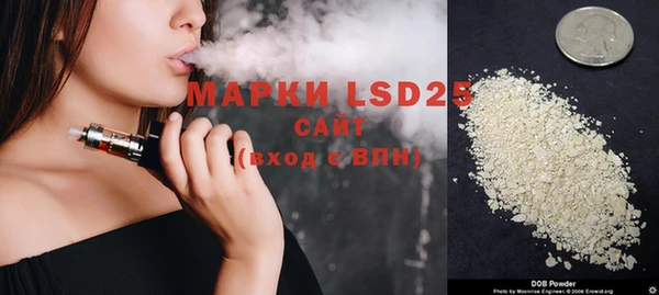 стаф Вяземский