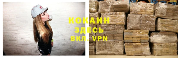 стаф Вяземский