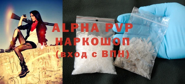 стаф Вяземский