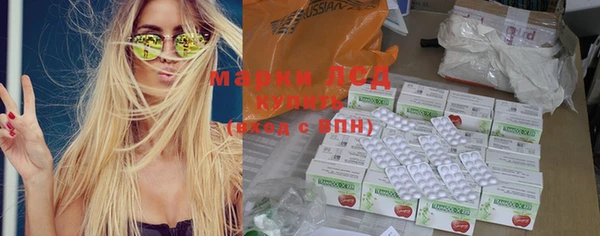 стаф Вяземский