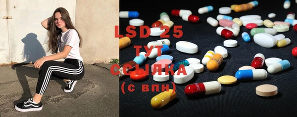 стаф Вяземский