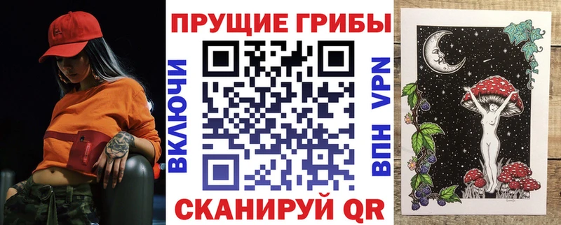 блэк спрут ссылки  Калач  Галлюциногенные грибы Psilocybine cubensis  хочу  